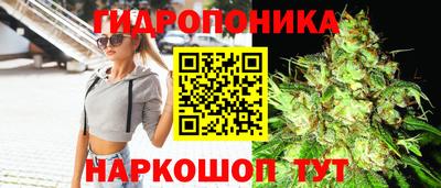 скорость Заволжье