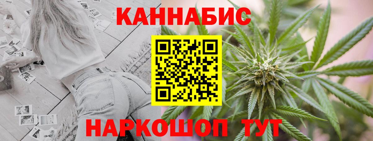 Канабис сатива Кыштым